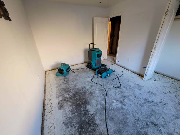 Best Mold removal after water damage  in Valparaiso, FL