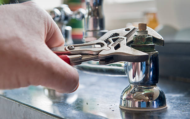 Best Mold removal after water damage  in Valparaiso, FL