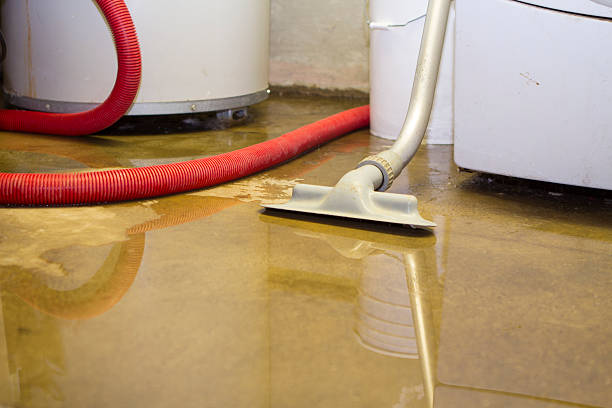 Best Water damage restoration company  in Valparaiso, FL