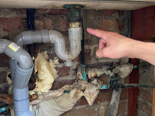Best Flood damage cleanup  in Valparaiso, FL