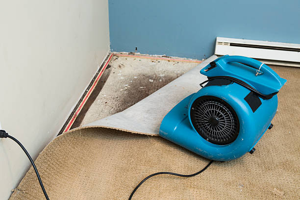 Best Emergency water damage restoration  in Valparaiso, FL
